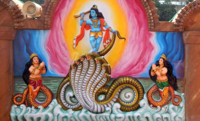 krishna kaliya naag
